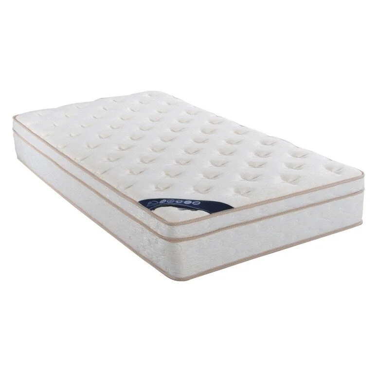 Queen - size mattresses for couples and standard bedroomsCicely 10.5" Euro Top Twin Mattress with Pocket Coil